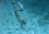 Virgin Islands